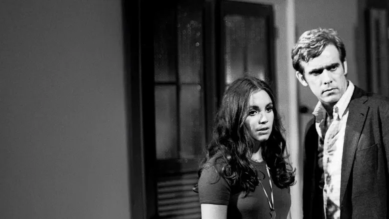 Selva de Pedra (1972)