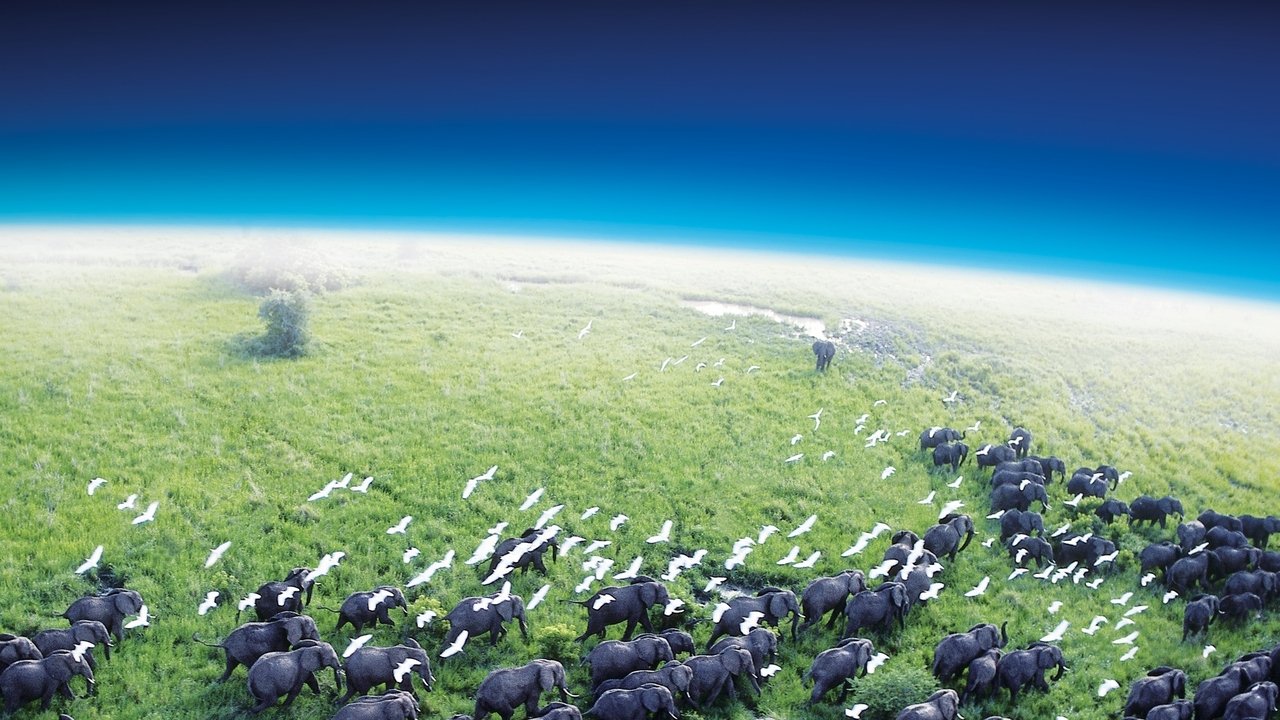 Planet