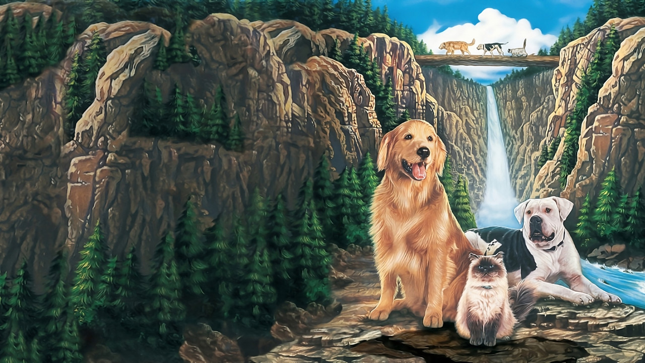 Homeward Bound
