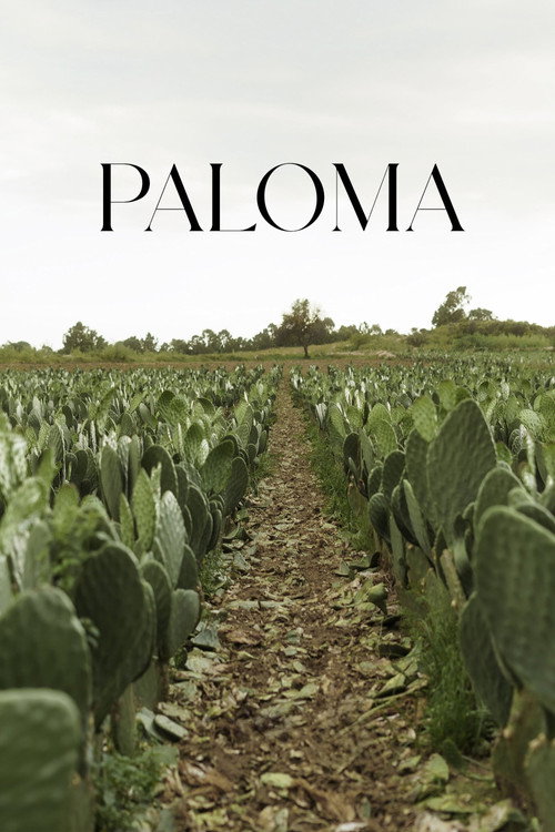Paloma (2025)