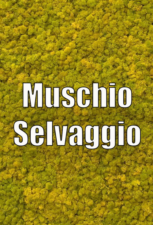 Muschio Selvaggio (Italiya, 2020 · 2)