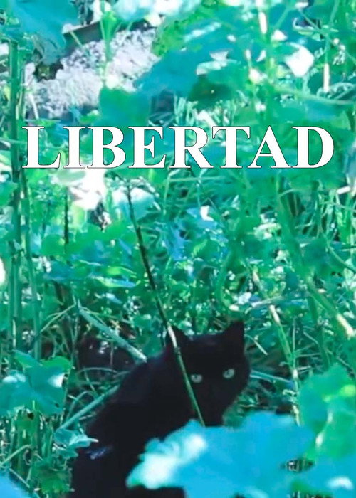 Freedom (2022)