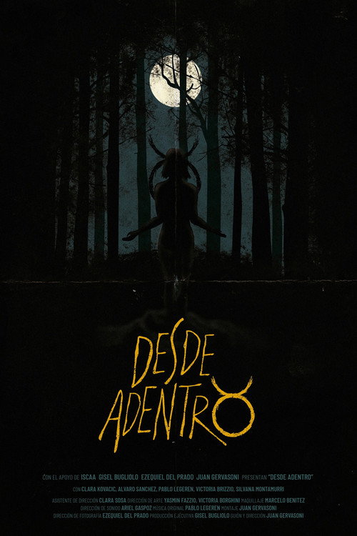 Desde Adentro (2017)