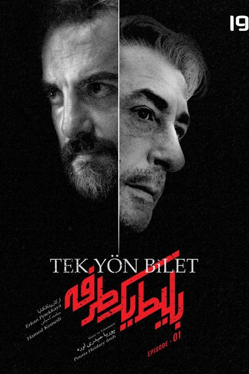 Bir tomonlama chipta (2025)