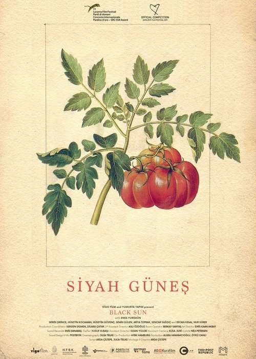 Qora quyosh (2019)
