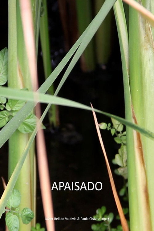 Apaisado