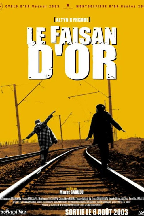 My Brother Silk Road