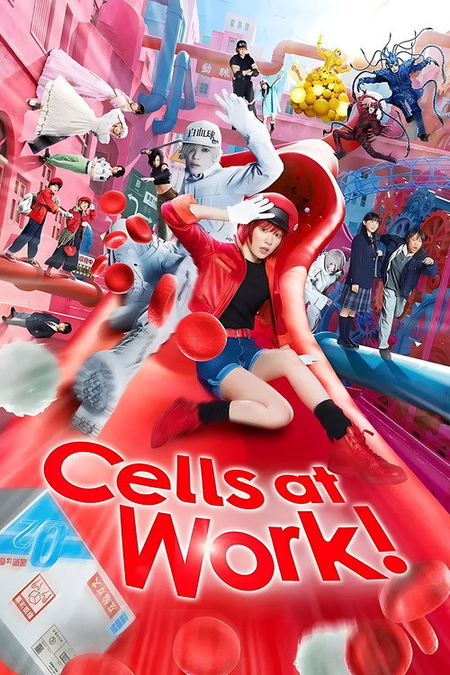 Hataraku Saibou