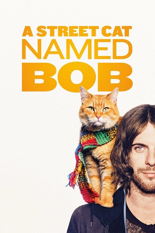 Bob ismli ko'cha mushugi