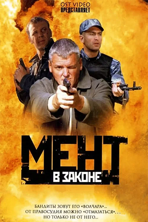 Qonundagi militsiya