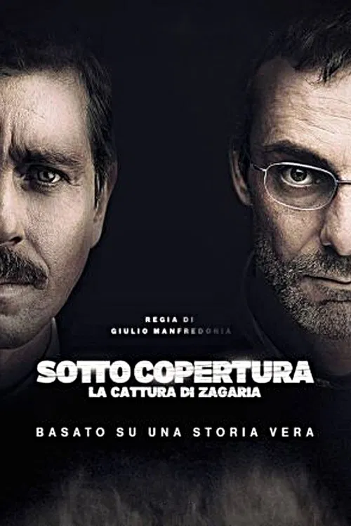 Под прикрытием (2015)