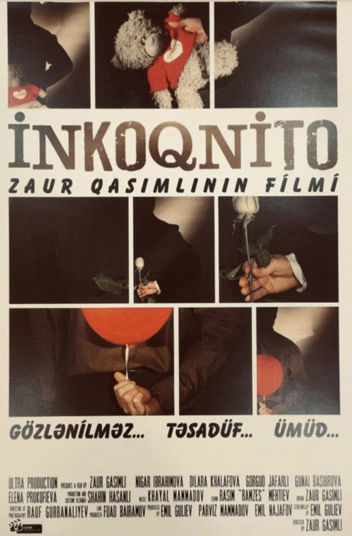 Инкогнито (2012)