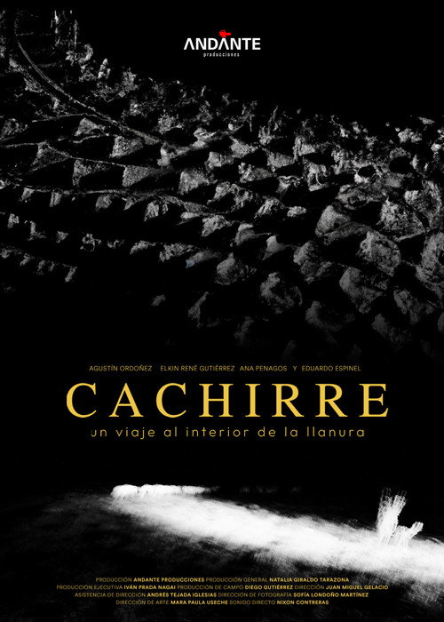 Cachirre