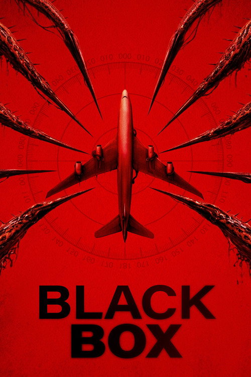 Black Box (2026)