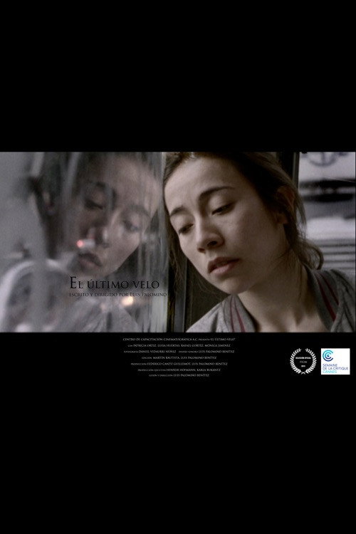 Oxirgi parda (2013)